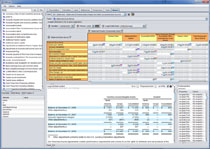 XBRL Report Editor